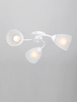 مصباح عام ثابت V3597/3PL