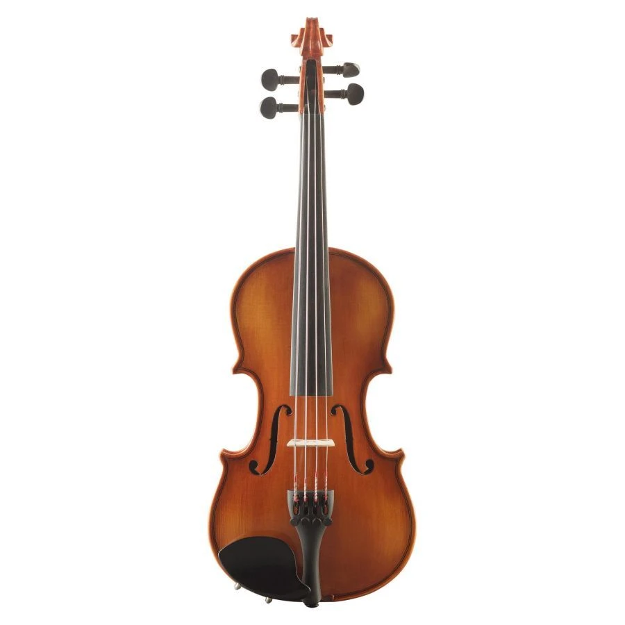 Student Violin Goronok "Nova" 1/10
