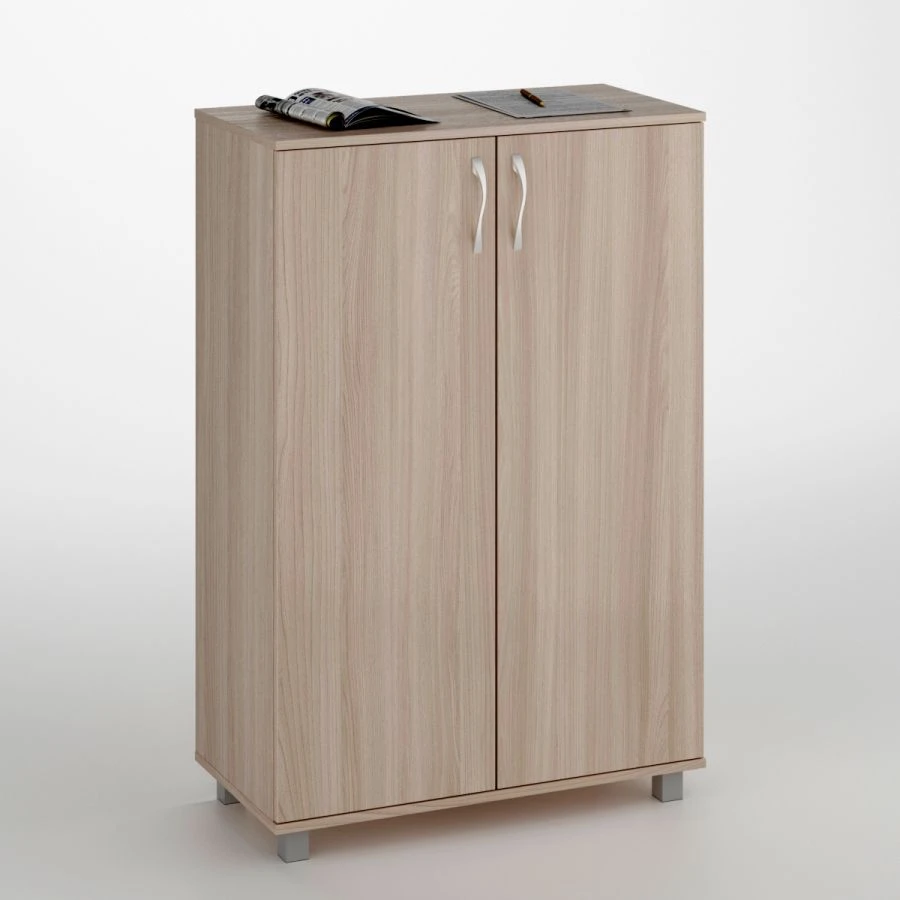 Low Document Cabinet with 2 Doors