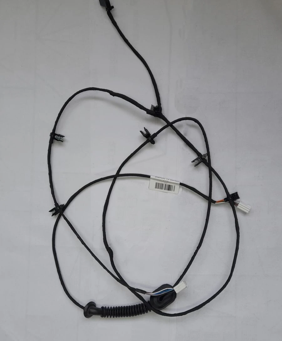 Wiring Harness for PAZ Buses (423471-XX-XXX-3724 012, 423471-XX-XXX-3724 012-XX, 423471-XX-XXX-3724 012-XXX, 423471-XX-XXX-3)