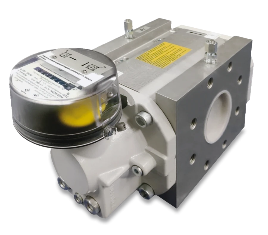 Rotary Gas Meters RVG G16 Type B