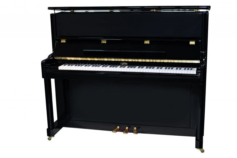 Melody Piano Model 120 - Beginner Musical Instrument