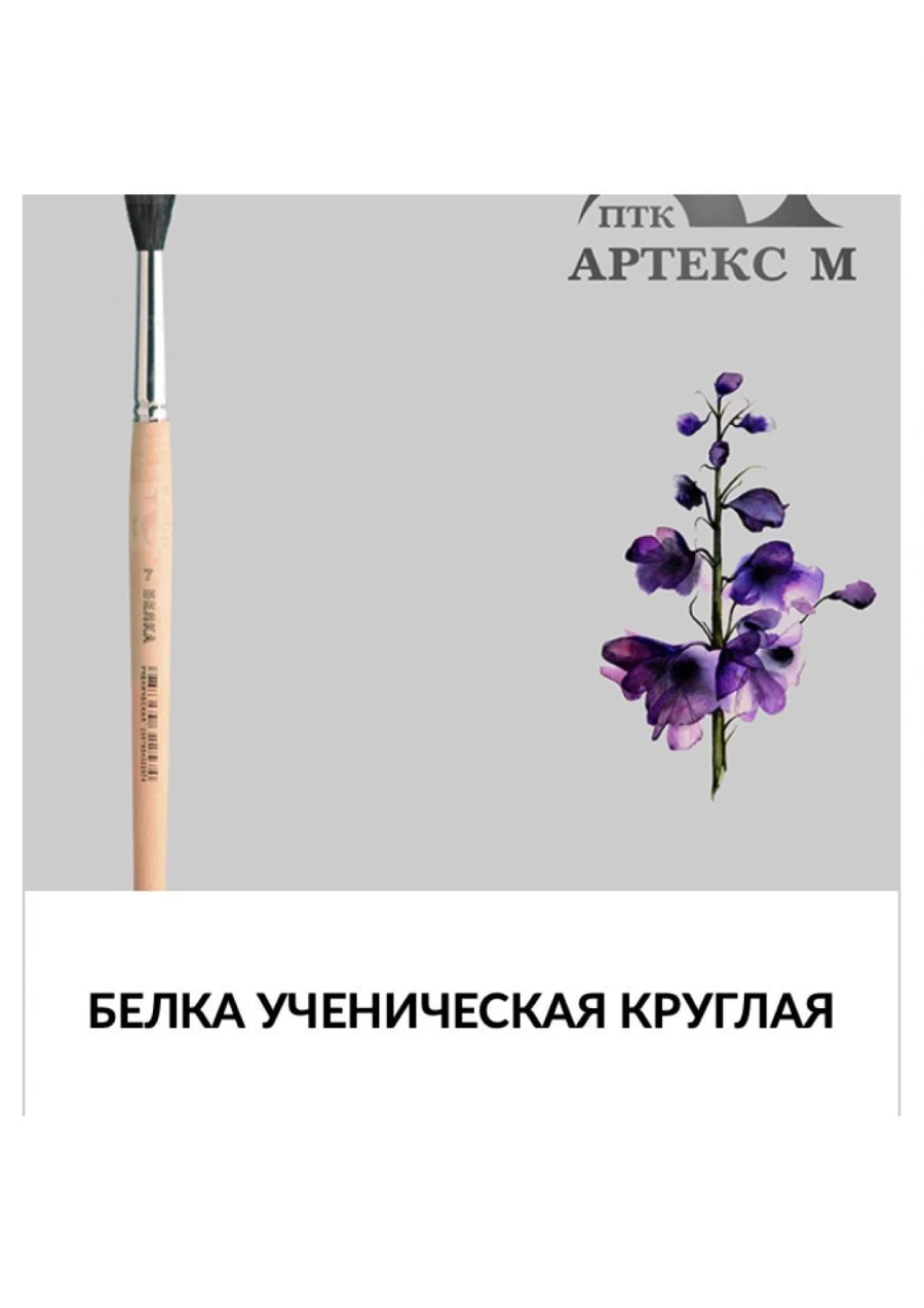 Natural Squirrel Hair Round Paint Brush for Artists