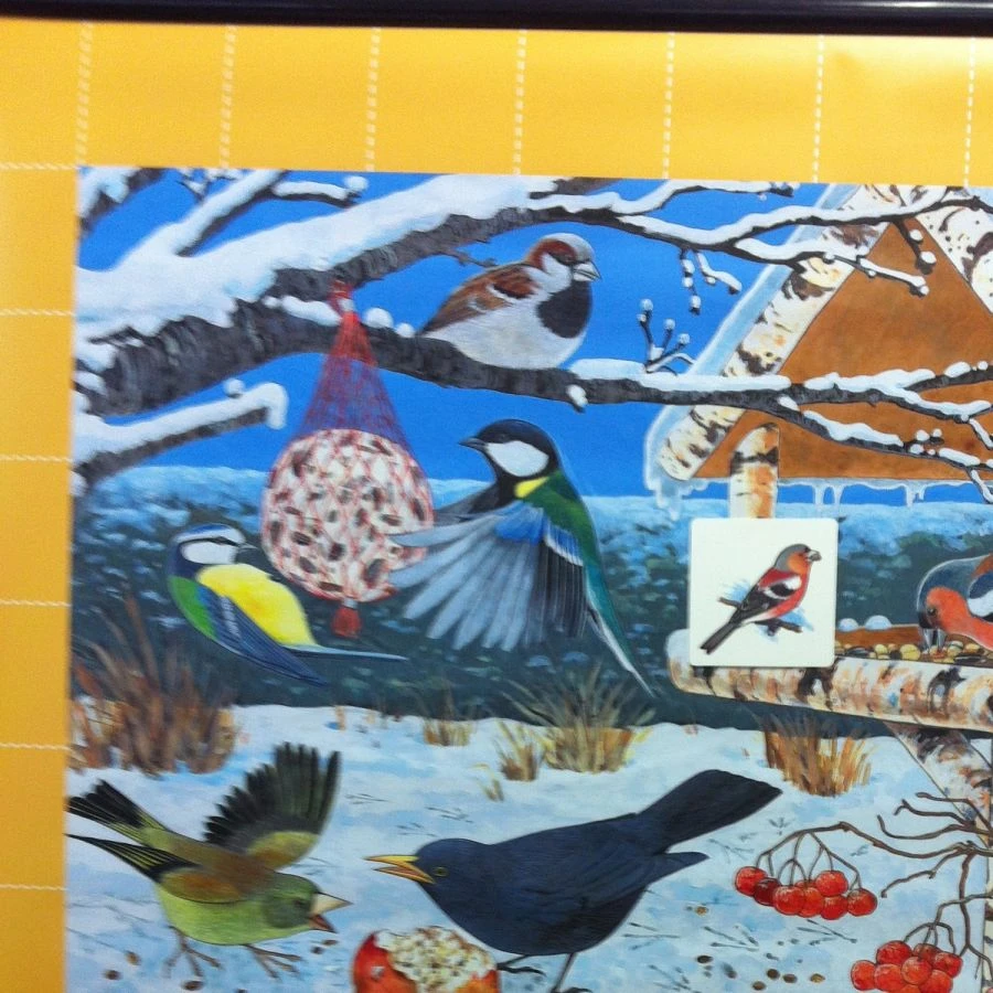 Magnetic Poster "Birds in Winter
