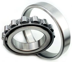 Radial Roller Bearing with Short Cylindrical Rollers 60-2213KM
