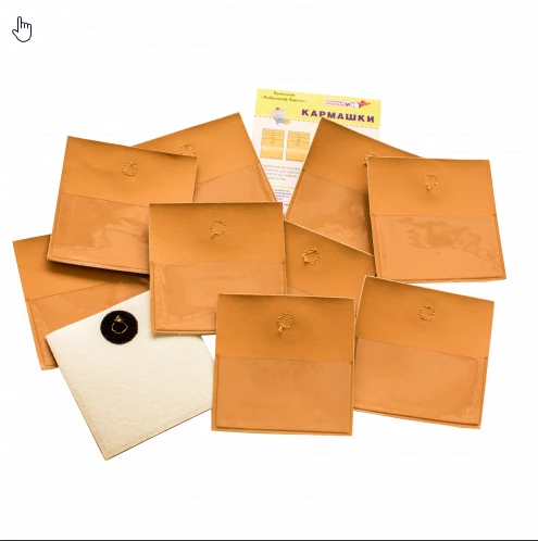 Pocket Organizer Set for Cards - Model "Karmashki