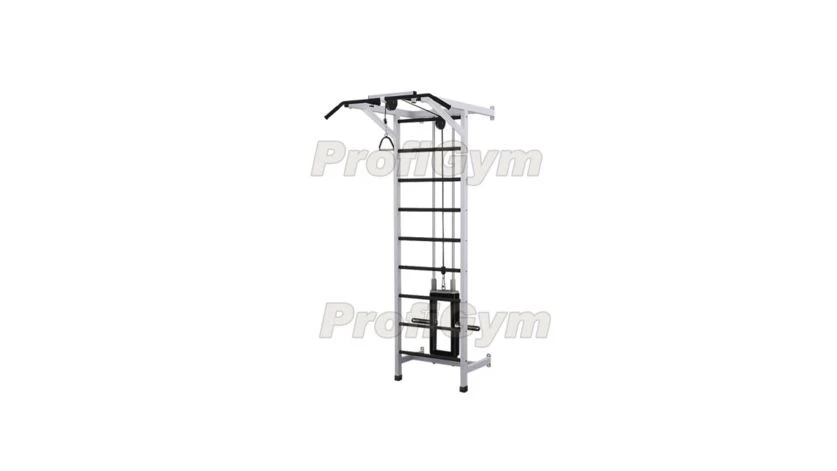 Wall-mounted Swedish Ladder with Weighted Exercise Machine