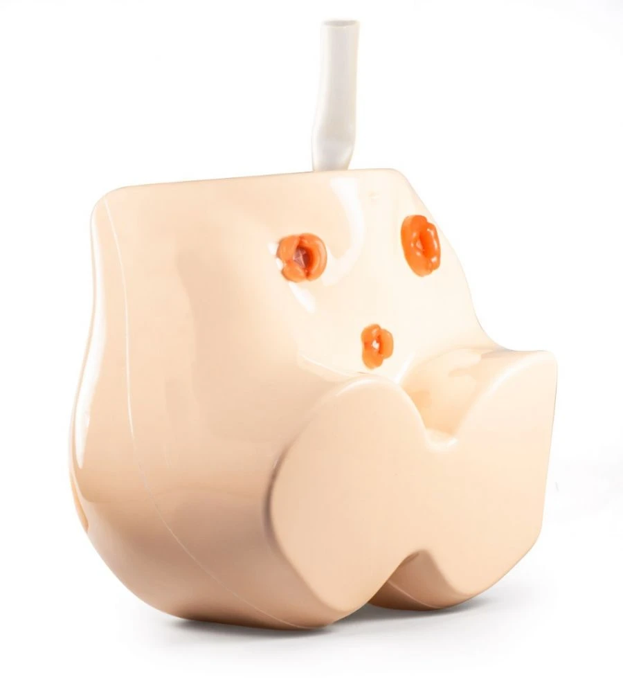 Intramuscular Injection and Enema Procedure Training Simulator