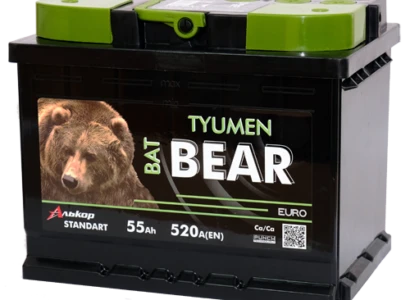 Lead battery for starting piston engines 6ST-55VLA o/p Asia 65B24 "Tyumen BatBEAR"