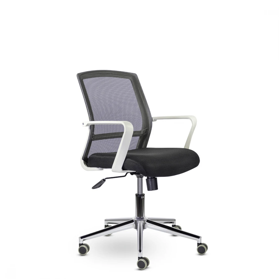Daily Chair for Office and Home Use