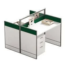 Dual Workstation Desk with Screens by DAMINART