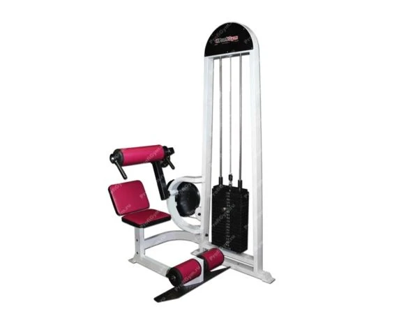 Professional Back and Abdominal Press Machine TG-0340-C