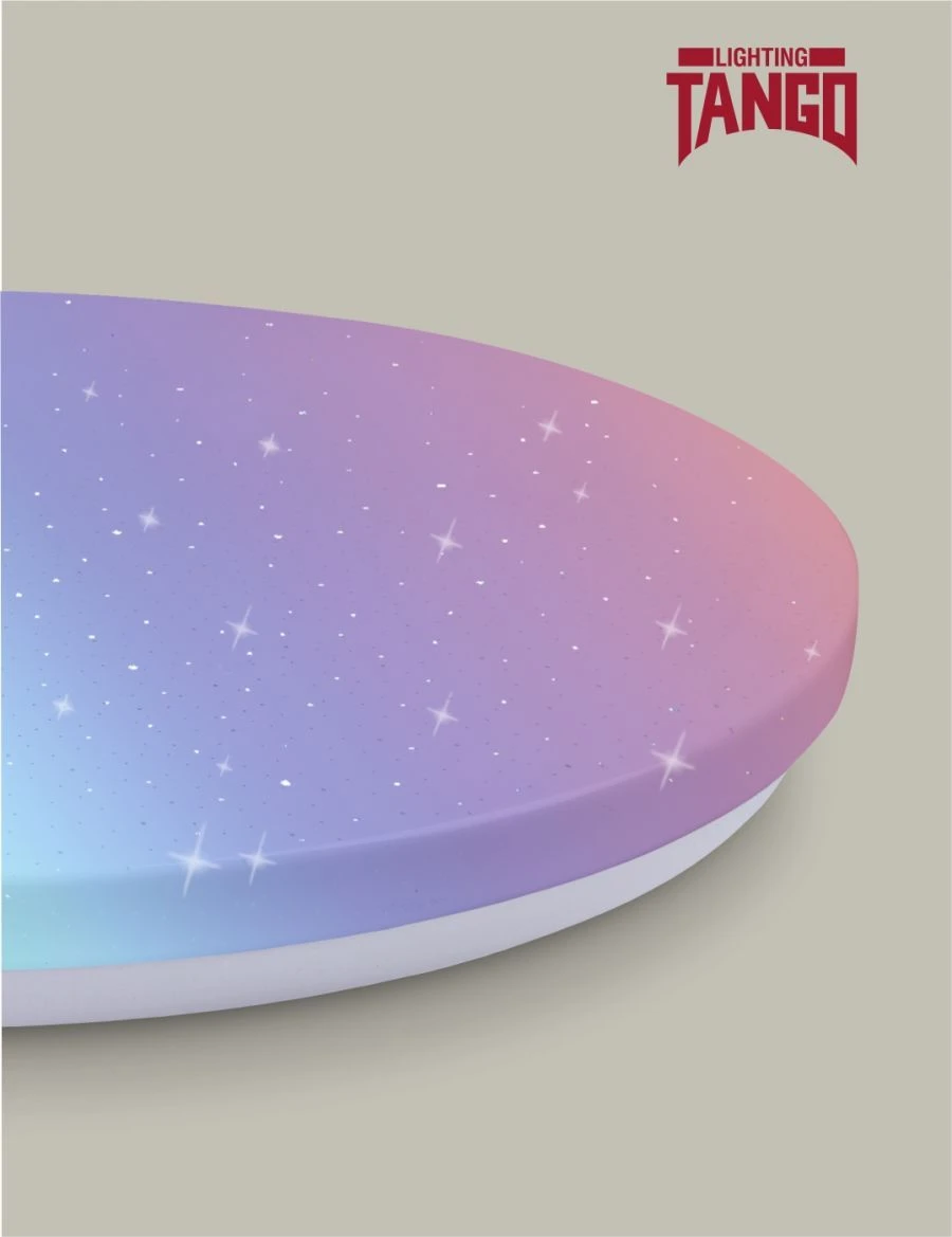 LED Wall-Ceiling Light TANGO NBBR-RC-P-1 "STARRY SKY" 60W RGB