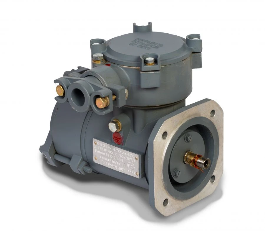 Explosion-Proof Seismic-Resistant Induction Motor AIM-A100S2 UHL1-C