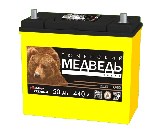 Lead Acid Starter Battery for Internal Combustion Engines 12V Tyumen Bear 60B24