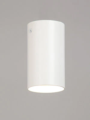 General Purpose Stationary Light V4640-0/1PL