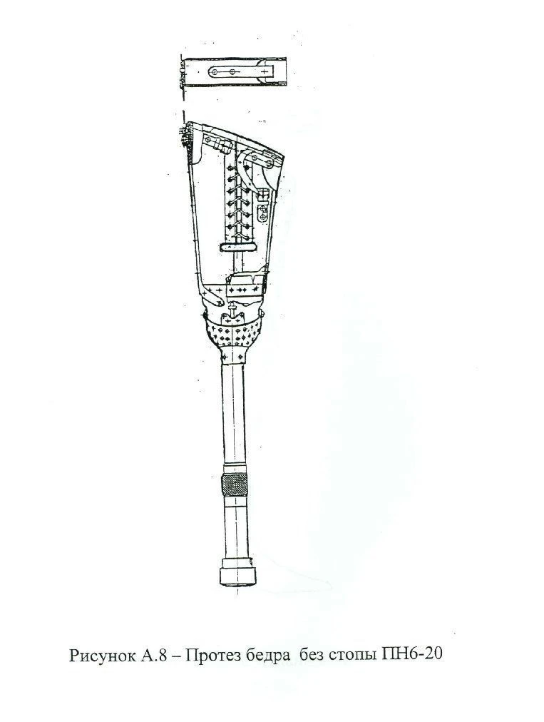 PN6-20 Prosthetic Hip Joint with Leather Strap