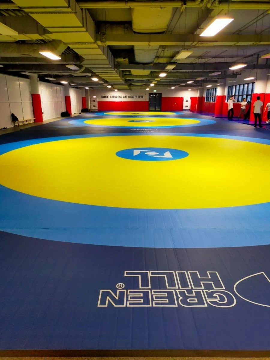 PROFI Roll Mat for Martial Arts and Gymnastics RMK1205