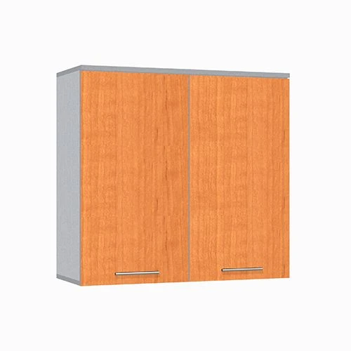 Two-Door Wall-Mounted Cabinet Model ШП-2