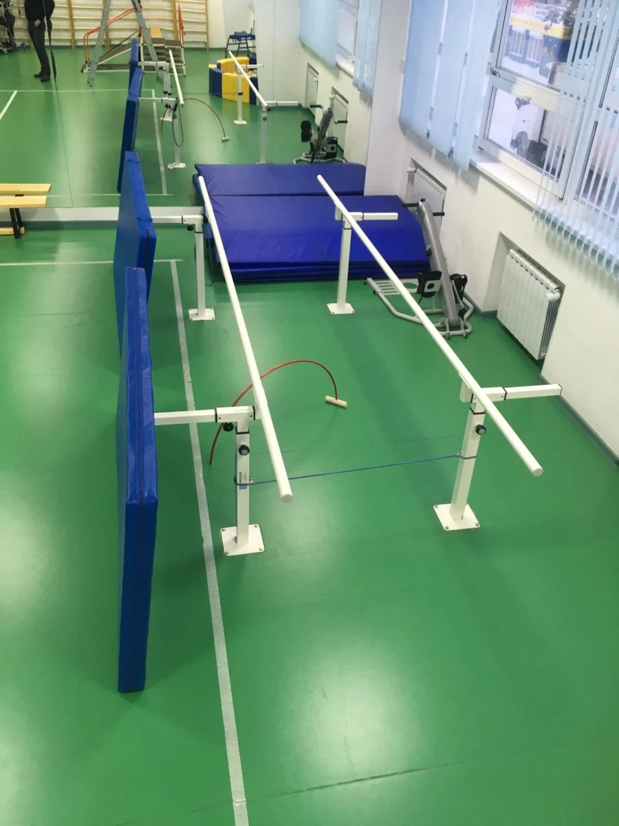 قضبان إعادة التأهيل الاقتصادية