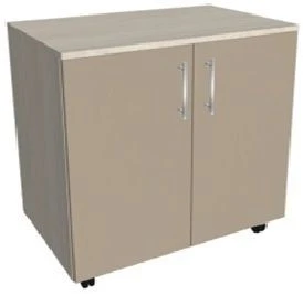 Two-Door Mobile Cabinet KSTTmP 2-02