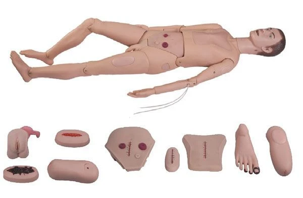 Adult Male Multi-functional Mannequin Art. 2100