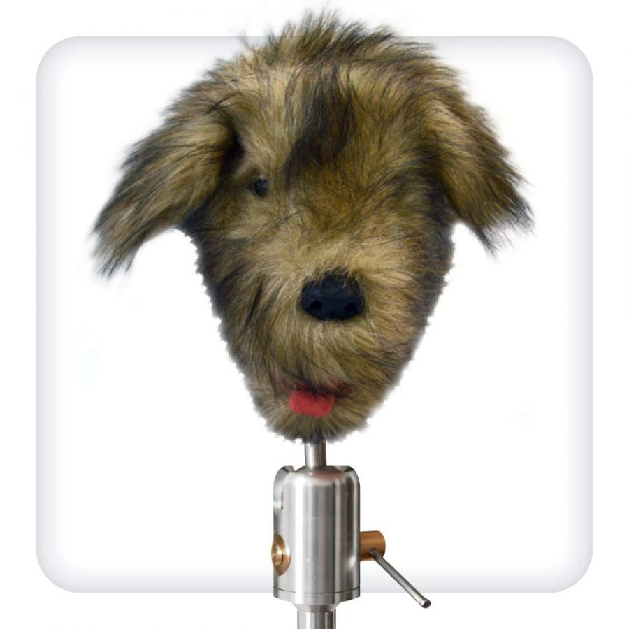 Dog Dental Skills Training Simulator Model V1042