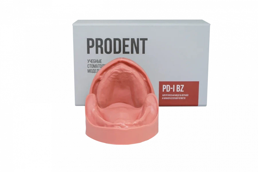 نموذج الفك الخالي من الأسنان مع تجويفات PD-I BZ