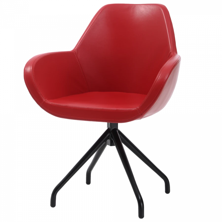 Comfortable and Stylish Chair YAVA
