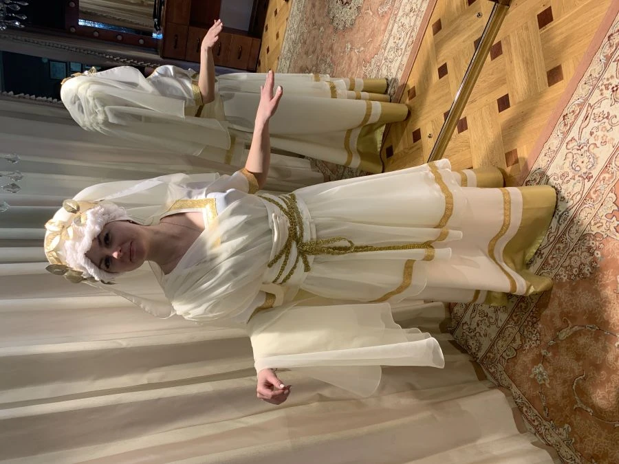 Theatrical Costumes for Stage Performance - Article 00014