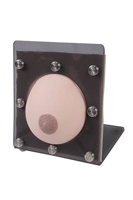 Breast Examination Model GP6621