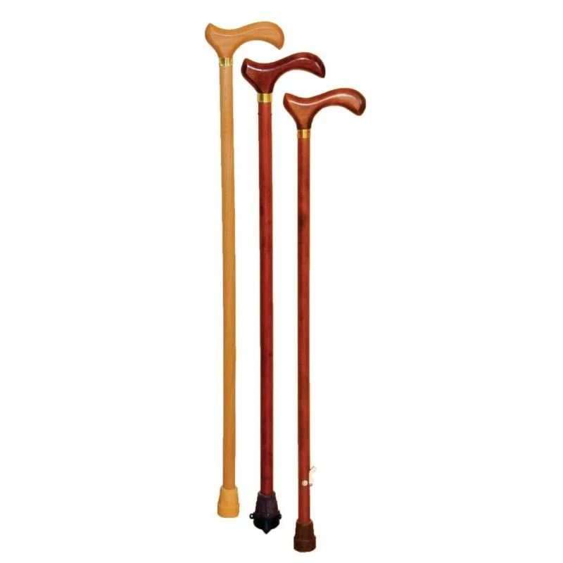 Federal Correctional Institution Cane Model