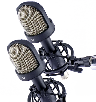 MK-101 Stereo Pair Condenser Microphones