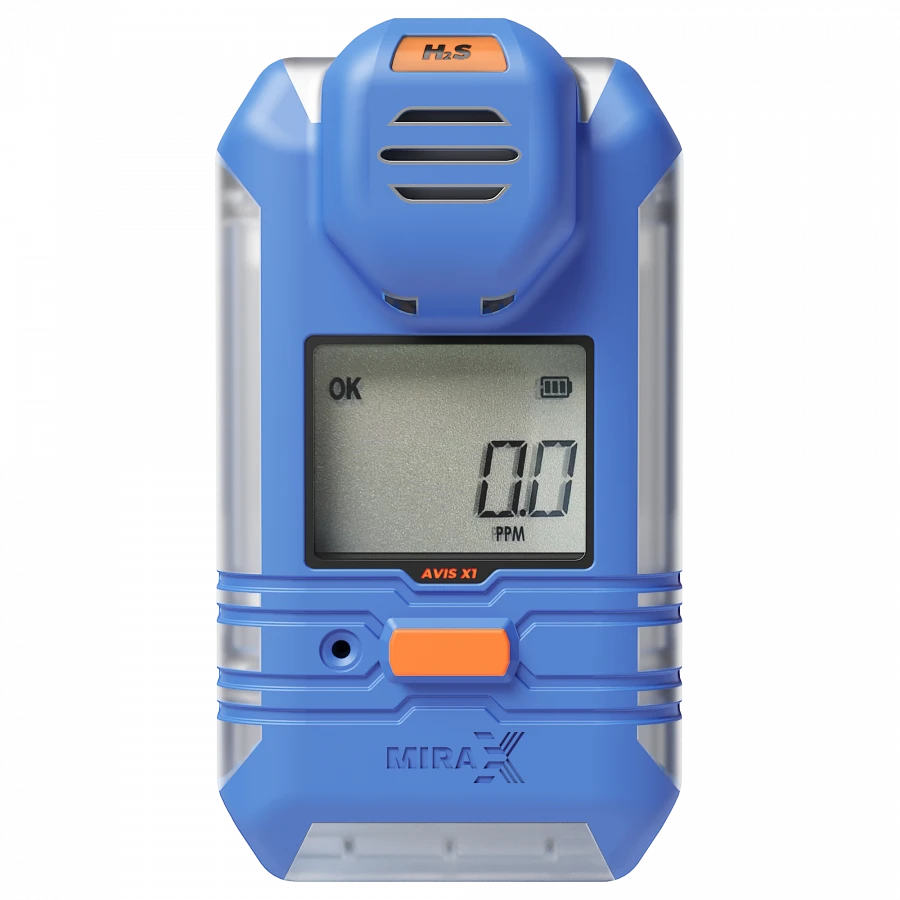 Portable Gas Analyzers AVIS X1