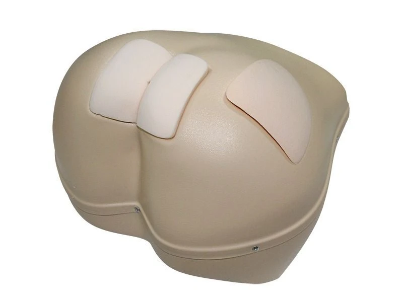 Anatomical Model for Enema and Intramuscular Injection Training MU0481