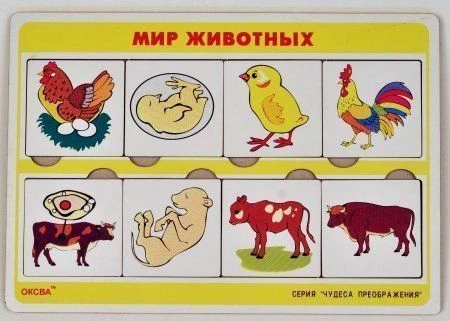 Transformation Wonders Game: Animal World