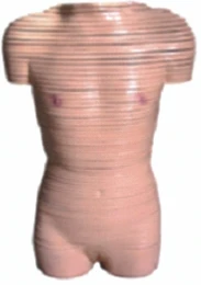Women's Body Model with Cross Sections, 30003