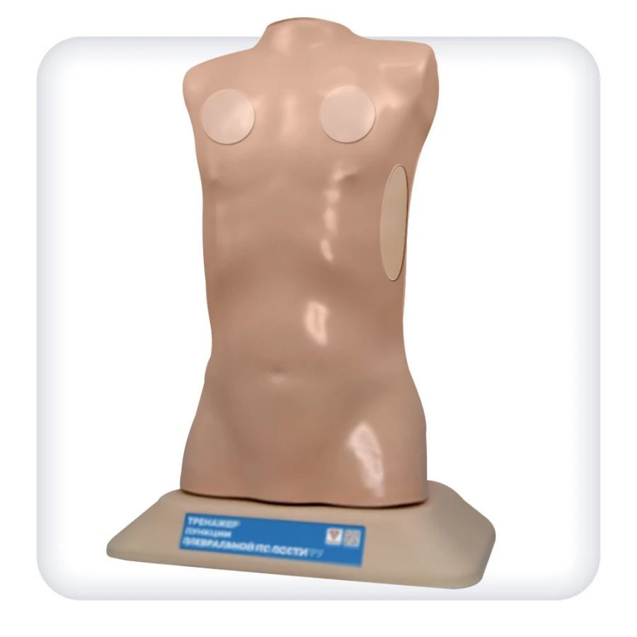 Pediatric Pleural Puncture Training Model L70A
