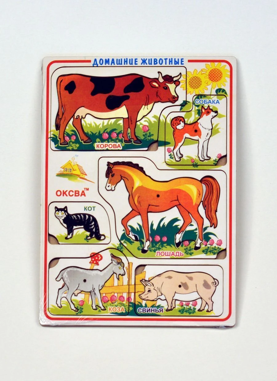 Domestic Animals Inset Frames Educational Toy