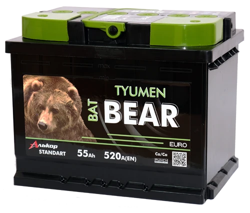 Lead Acid Starter Battery for Internal Combustion Engines 12V Tyumen BatBEAR 6ST-55VLA L1