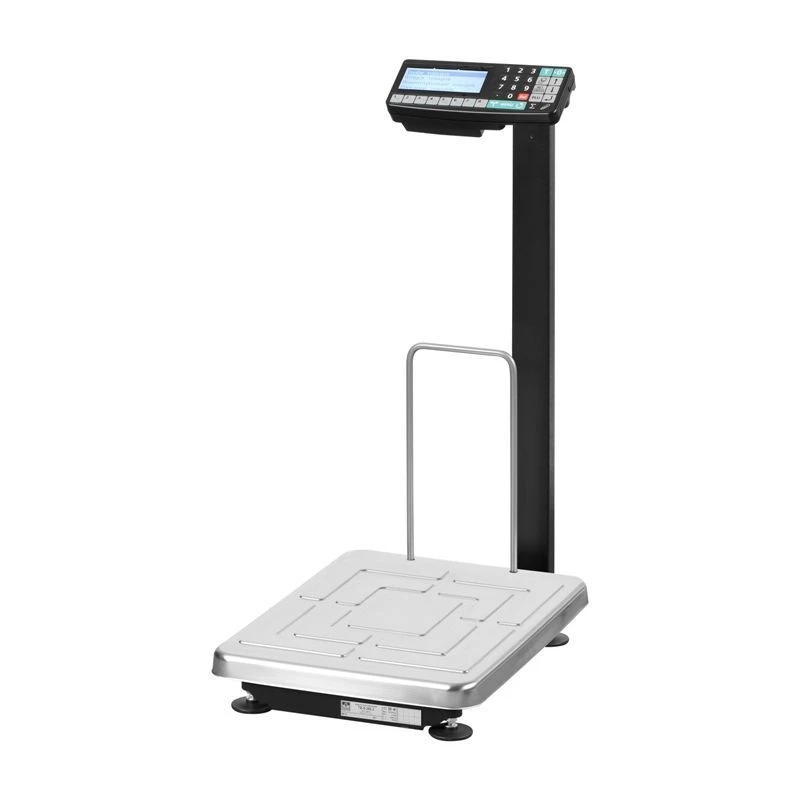Electronic Floor Scale TB-S-60.2-RA3 with Data Terminal Function
