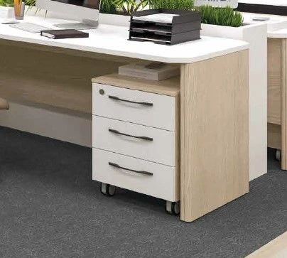 خزانة تخزين 50.301.00.00.00