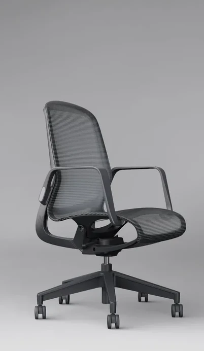 Ergonomic Office Chair with High Mesh Back and Headrest GL-BNF