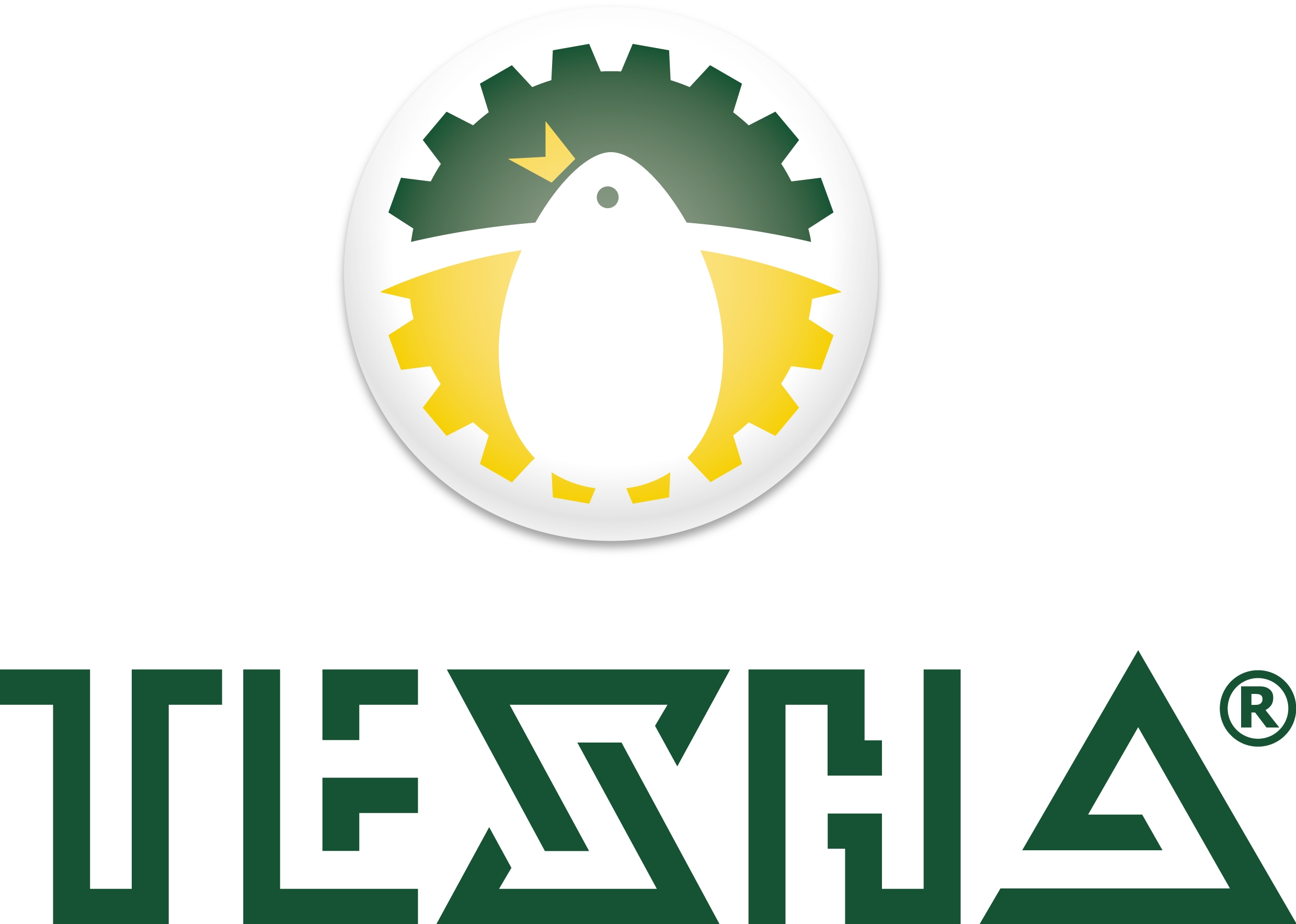 TECHNA LLC