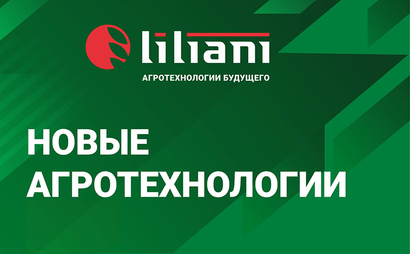 Liliani LLC