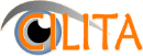 ش.ذ.م.م تسيلتا