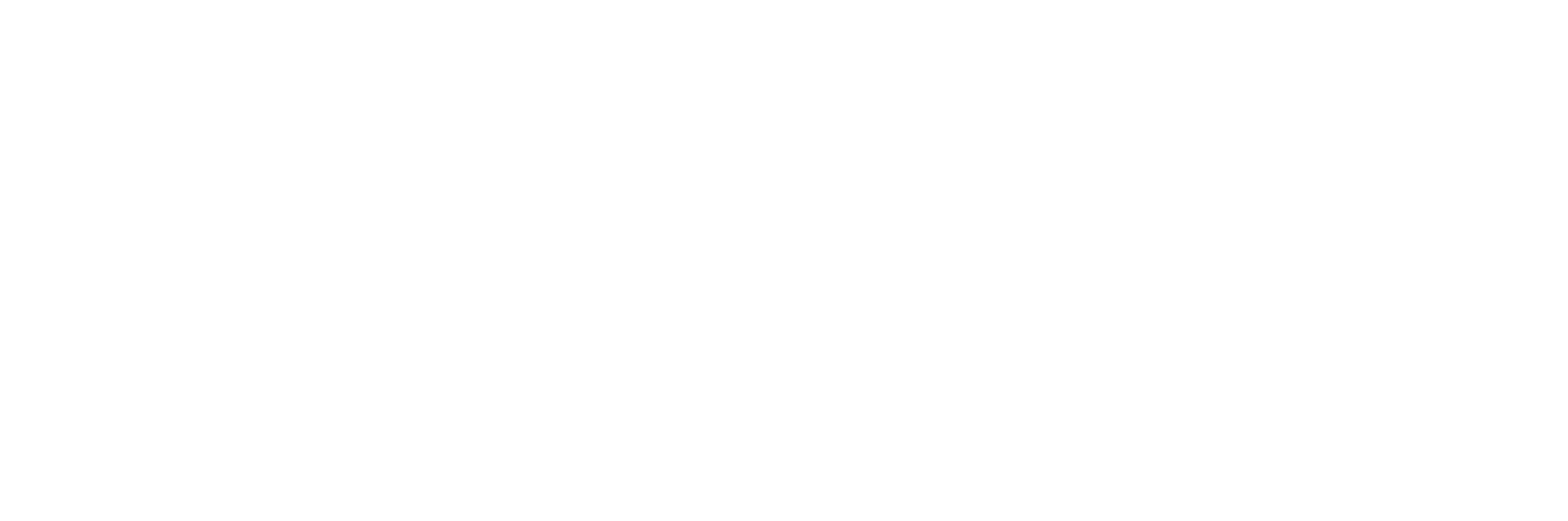 OREL MK LLC