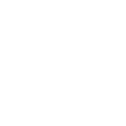 DVK LLC