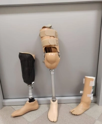 Therapeutic and Training Shin Prosthesis