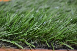 Optigrass C-Classic 55 MF Artificial Grass Turf